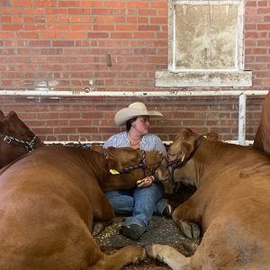 Meet your Posher, Bailey